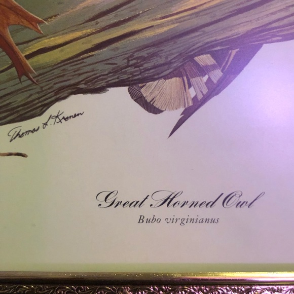 Thomas L. Kronen 1972-76 print framed - Picture 3 of 6